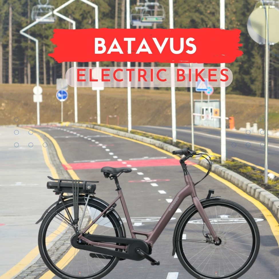 Batavus Bikes Stand on Road