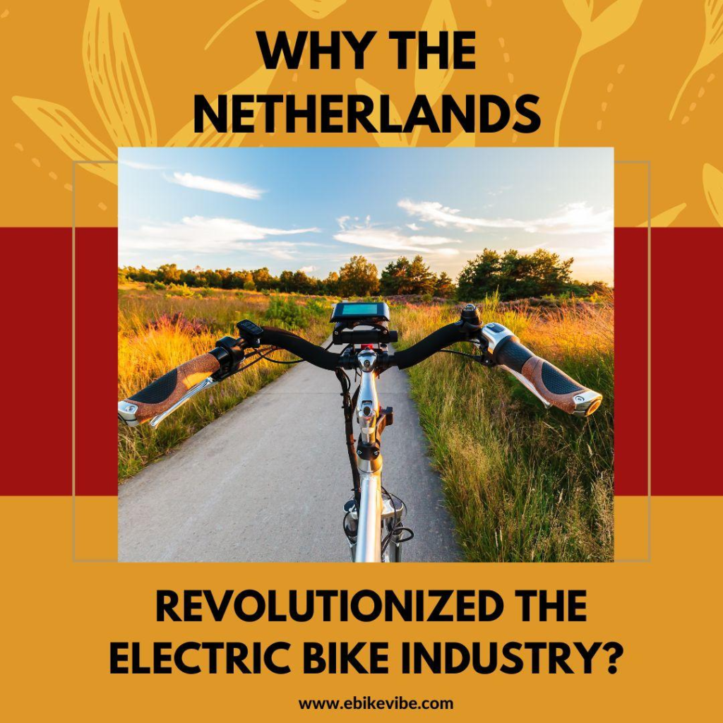 Why the Netherlands Revolutionized the Electric Bike Industry.