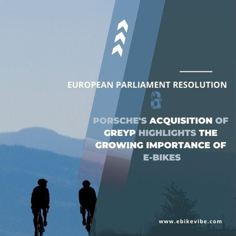 European Parliament Resolution