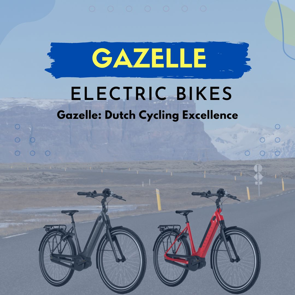 Gazelle Electric Bikes Standing on Road