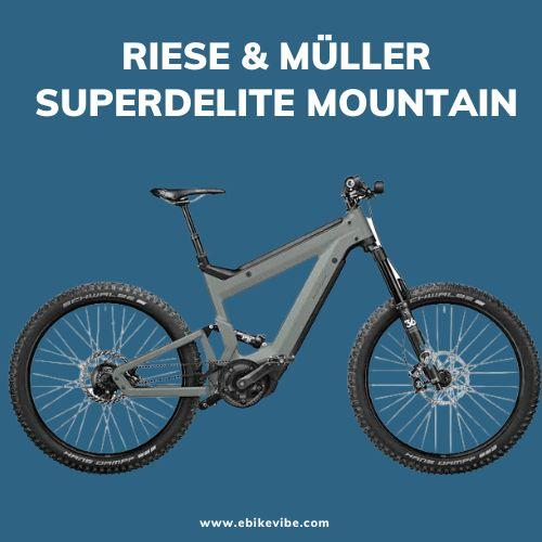 Riese & Muller Roadster. Electric mountain bike in black and grey color.