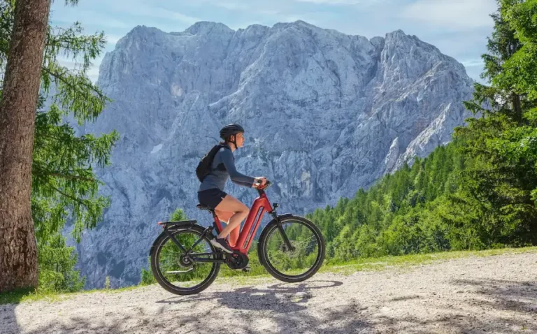 Introducing the Gazelle Eclipse: A Premium Comfort-Trekking E-Bike